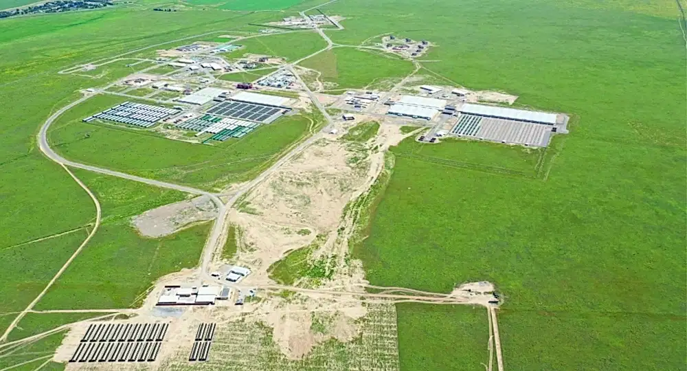 Houbara Breeding Station 2
